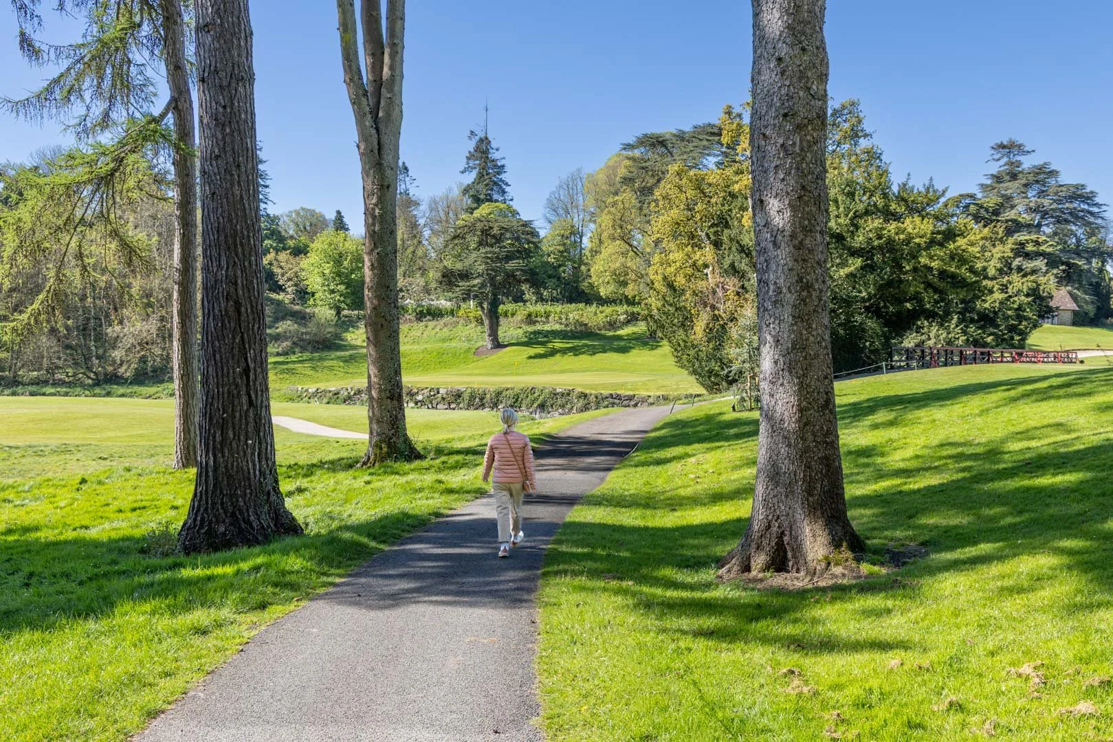 _5II5170.JPG