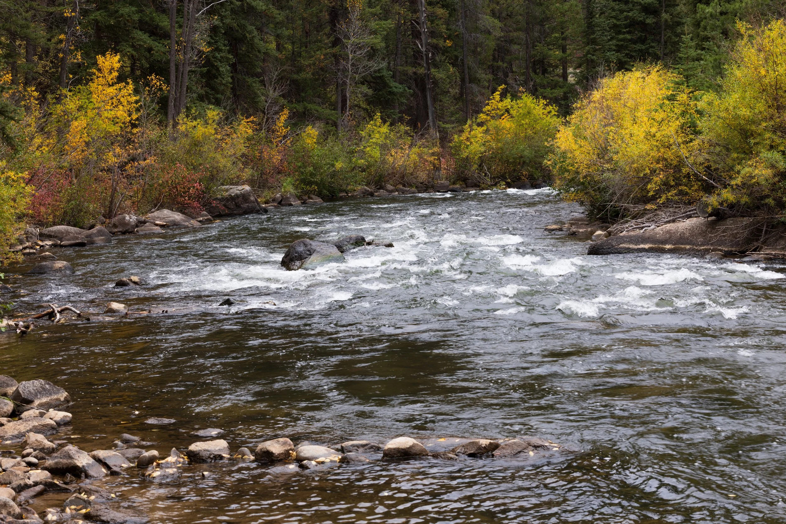 2025 - Colorado Fall Colors