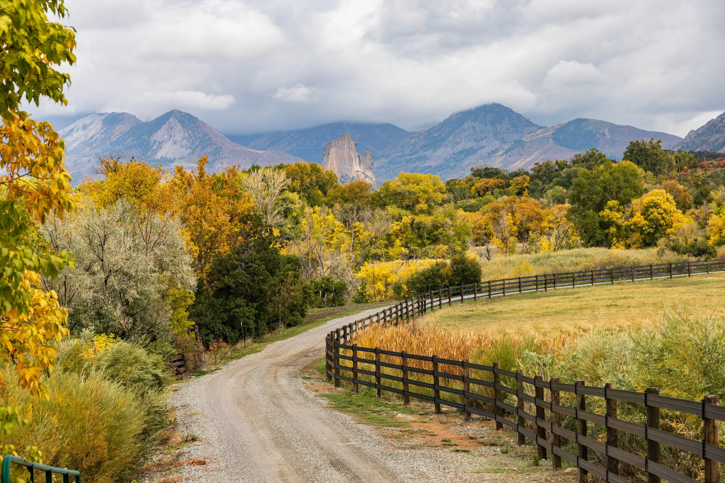 Colorado - Fall Colors