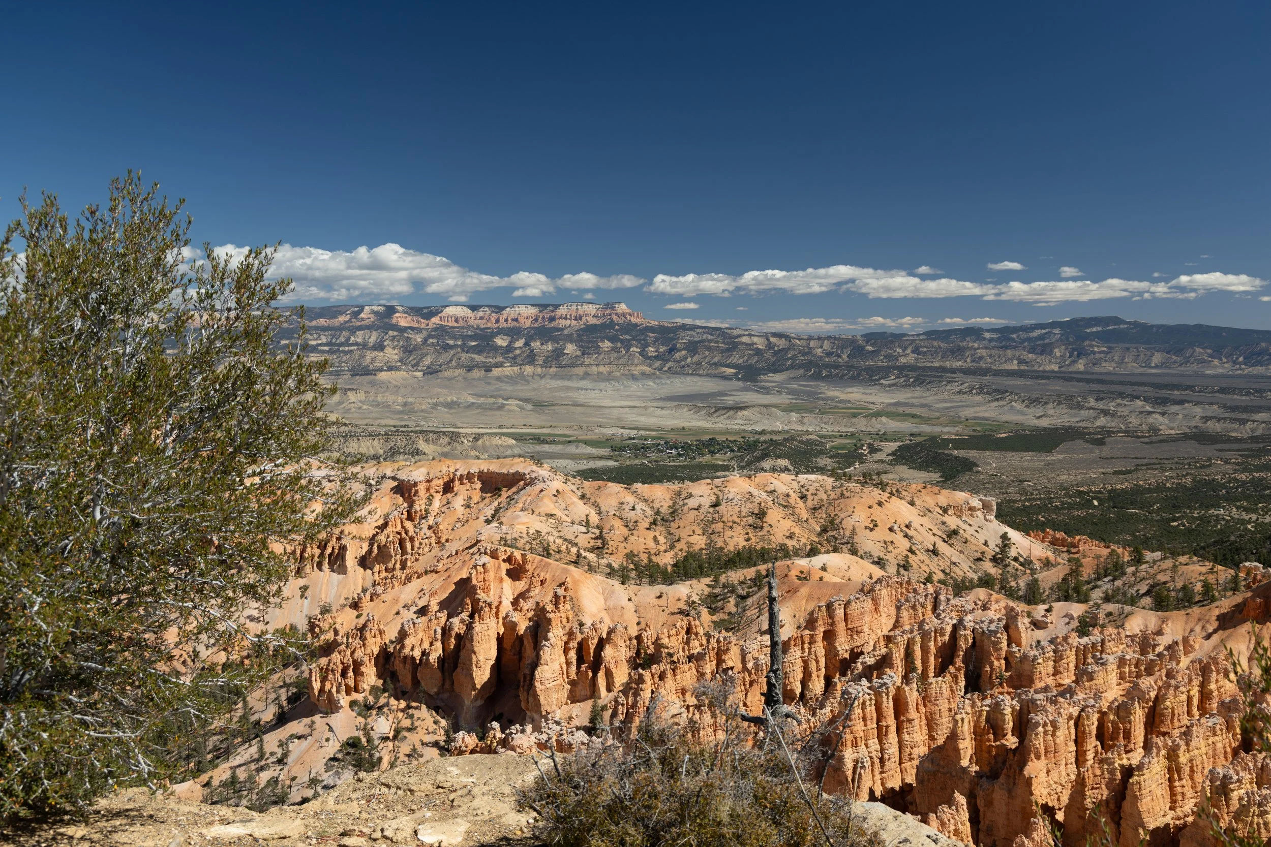_5II7754.JPG