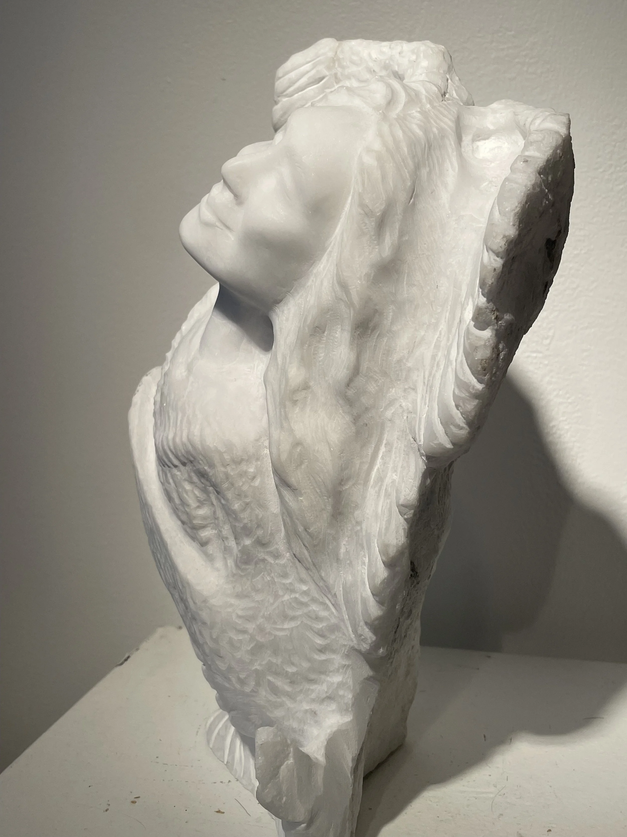 Metamorphosis : Anhydrite
Size: 8"LX7"WX13"H