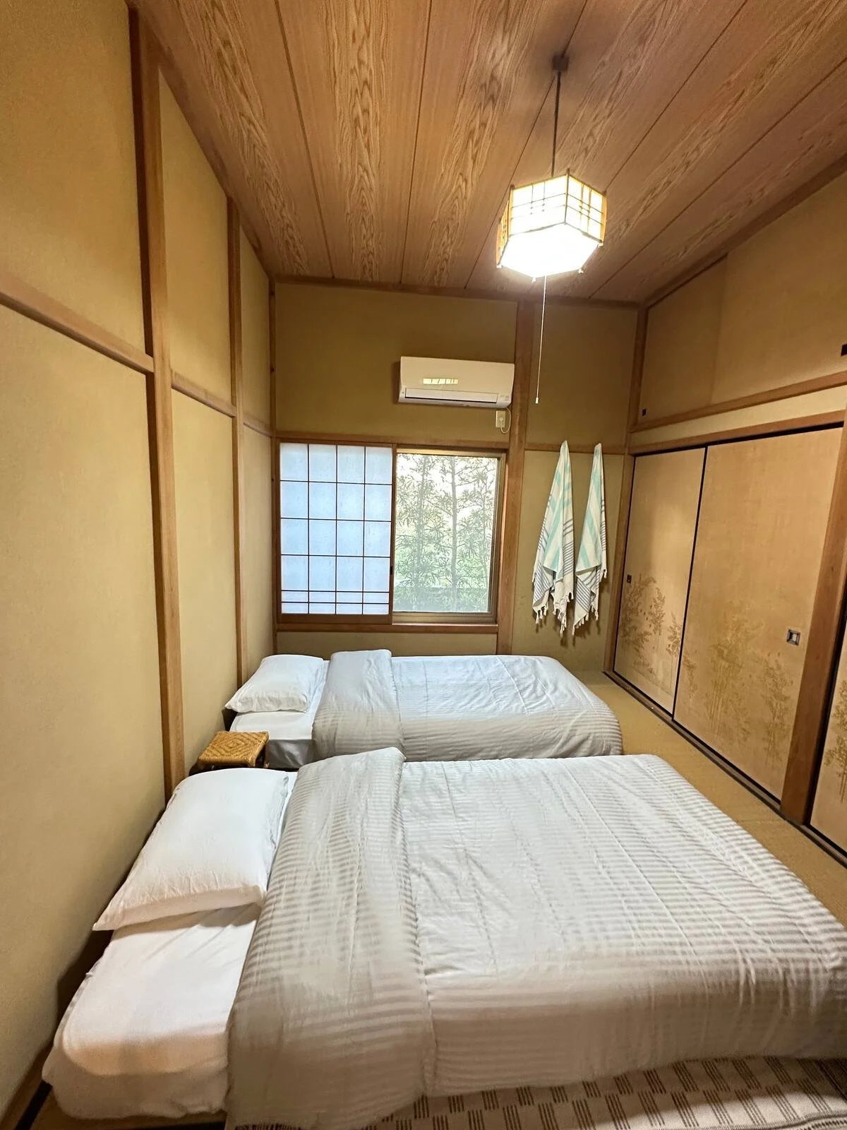 895dda07-fde7-4b2d-92b0-fb2ec8a32567 2.jpeg