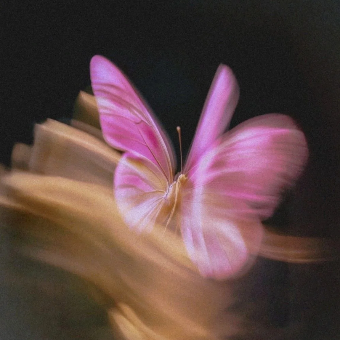 Why Does The Universe Bring You Back to the Same Situations?