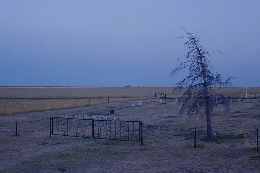 Cemetery gate and lone tree in evening blue light.
