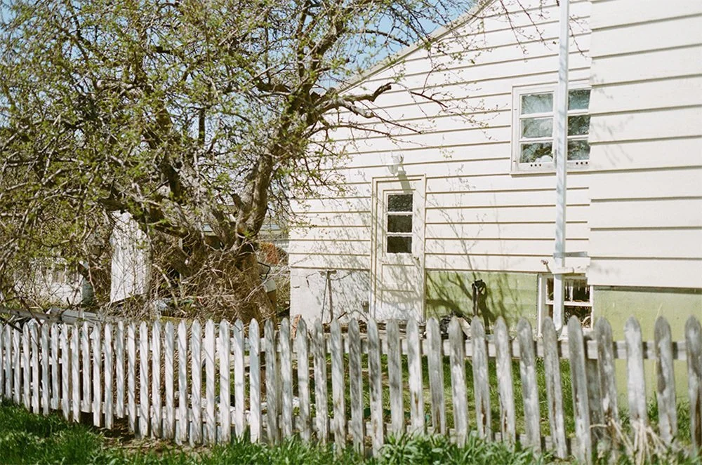 White picket fence and budding tree beside a white and green house.