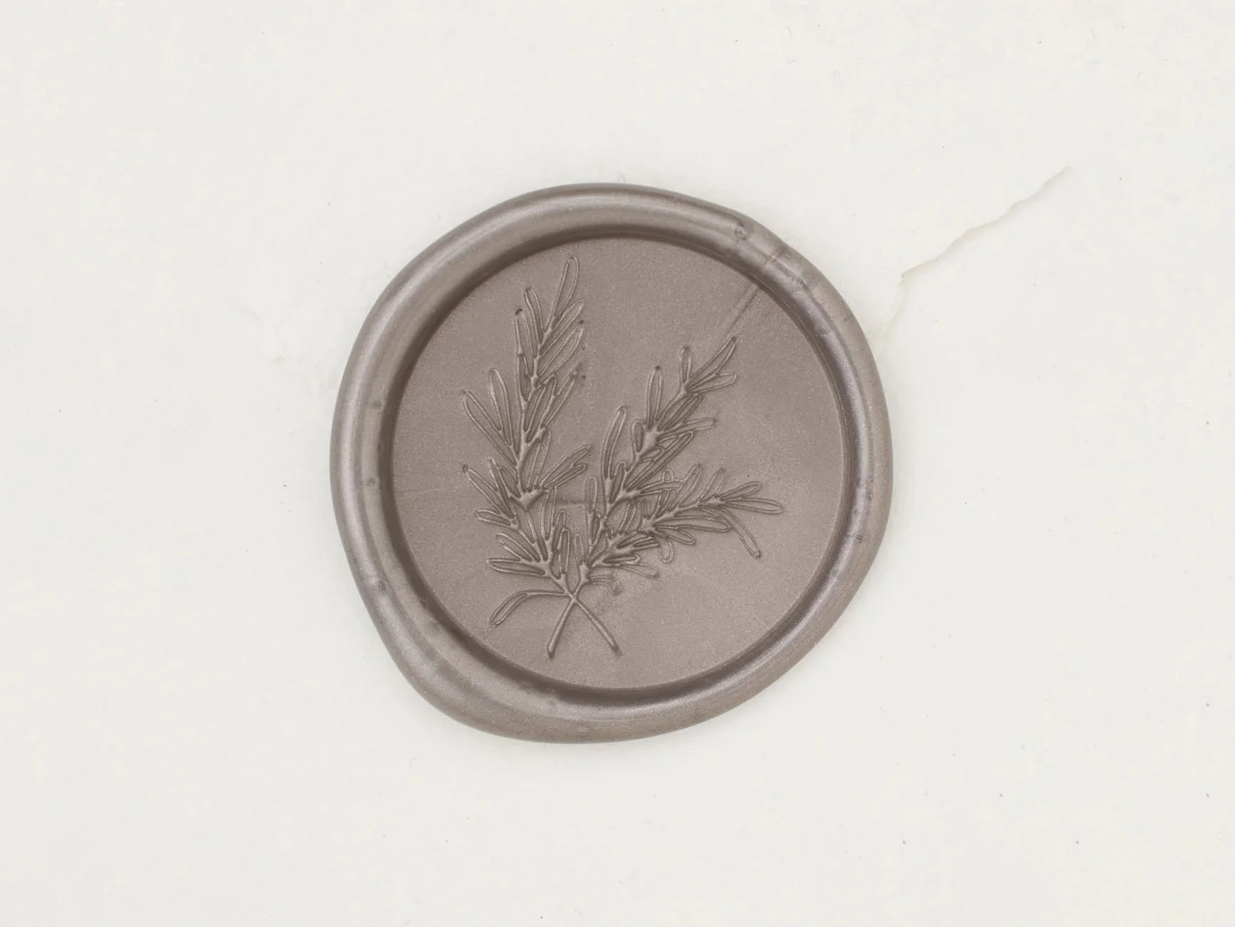 Rosemary-HeirloomSilver.jpg (Copy)