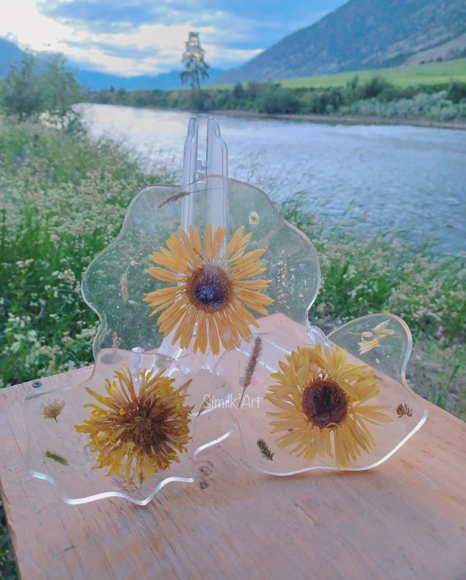 Set of one round tray and 2 coasters made of Resin containing dried yellow sunflowers and small botanicals, placed on a wooden surface outdoors near a river with green fields, hills, and trees in the background.