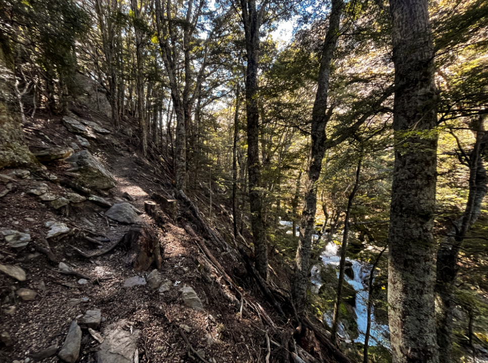Lake Alta track