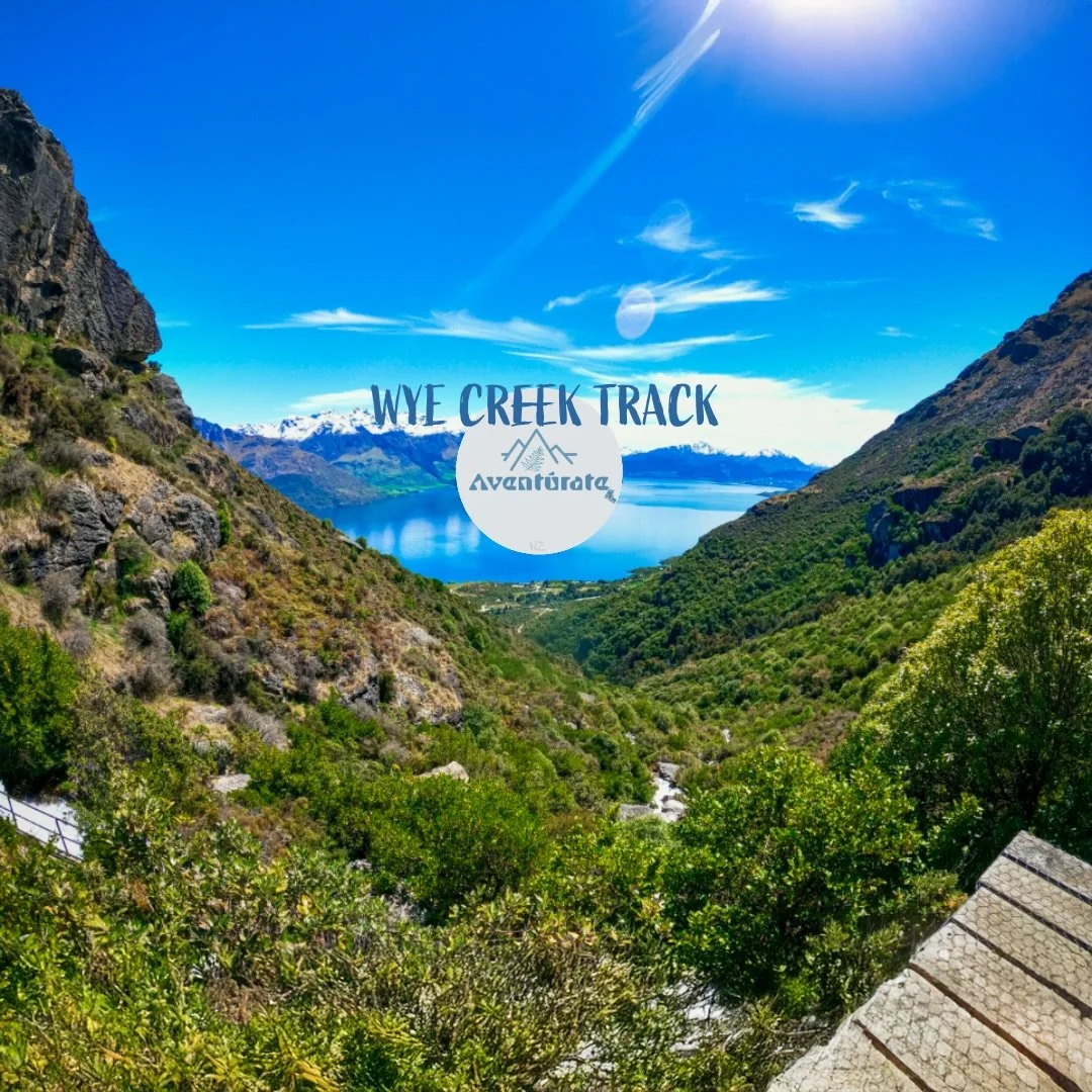 🗾Queenstown est&aacute; en tu bucket list para este verano y andas en modo aventurero pero no quieres un hike eterno? 
Este es TU plan 🔥 

📍 WYE Creek Track es una caminata corta pero intensa que te recompensa con vistas incre&iacute;bles del lago