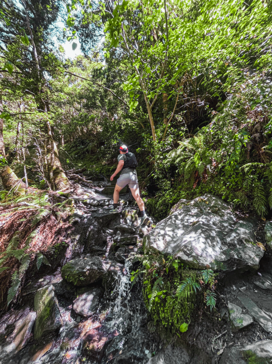 trail-running-wanaka.png