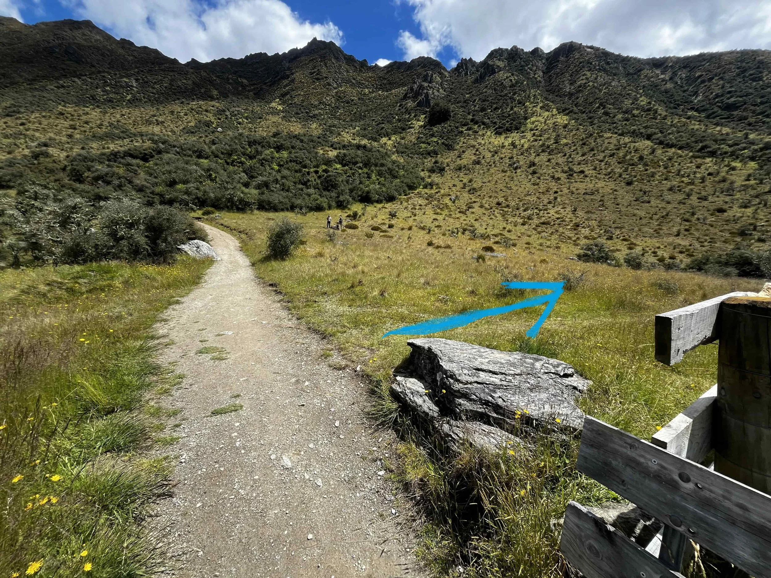 Camino del track Moke Lake