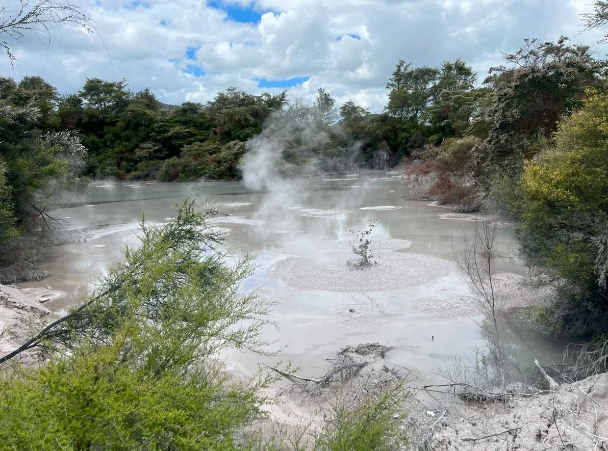 actividad geotermica en el centro de Rotorua en Nueva Zelanda