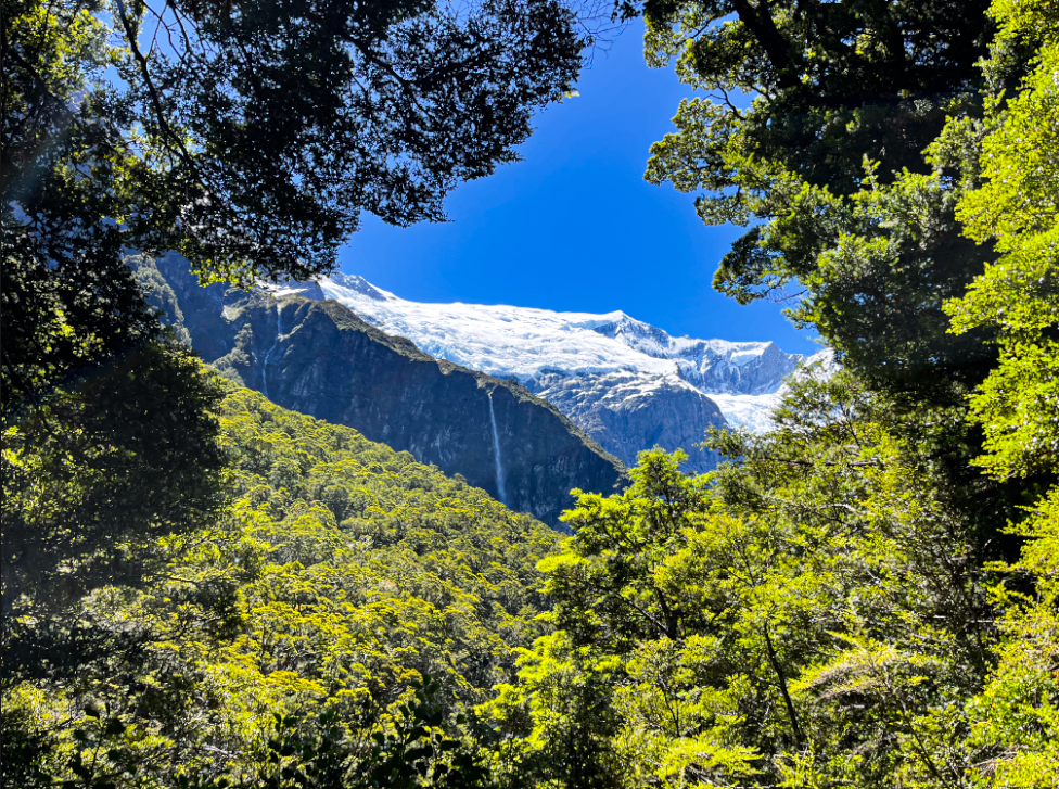 vistas al glaciar Rob Roy