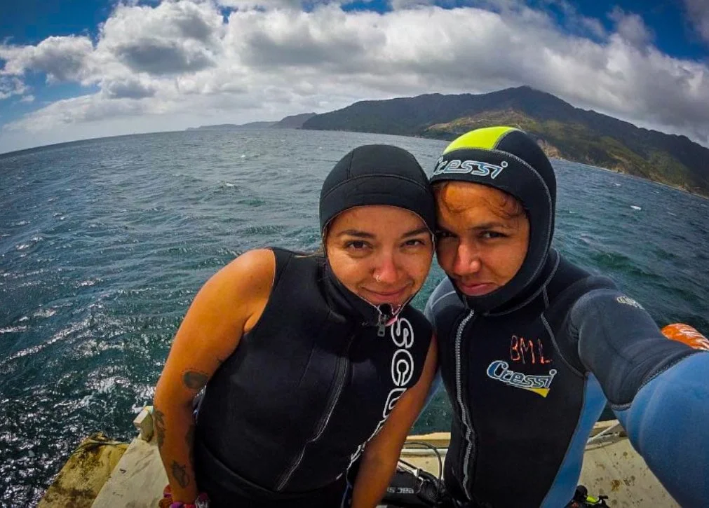 Scubadiving en los Marlborough Sounds