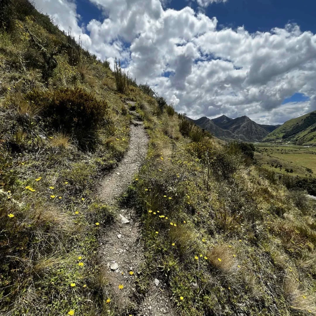 Subiendo hacia el mirador de Moke Lake