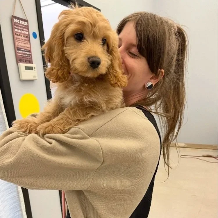 A woman holding a small, fluffy, light brown puppy with floppy ears inside a building.