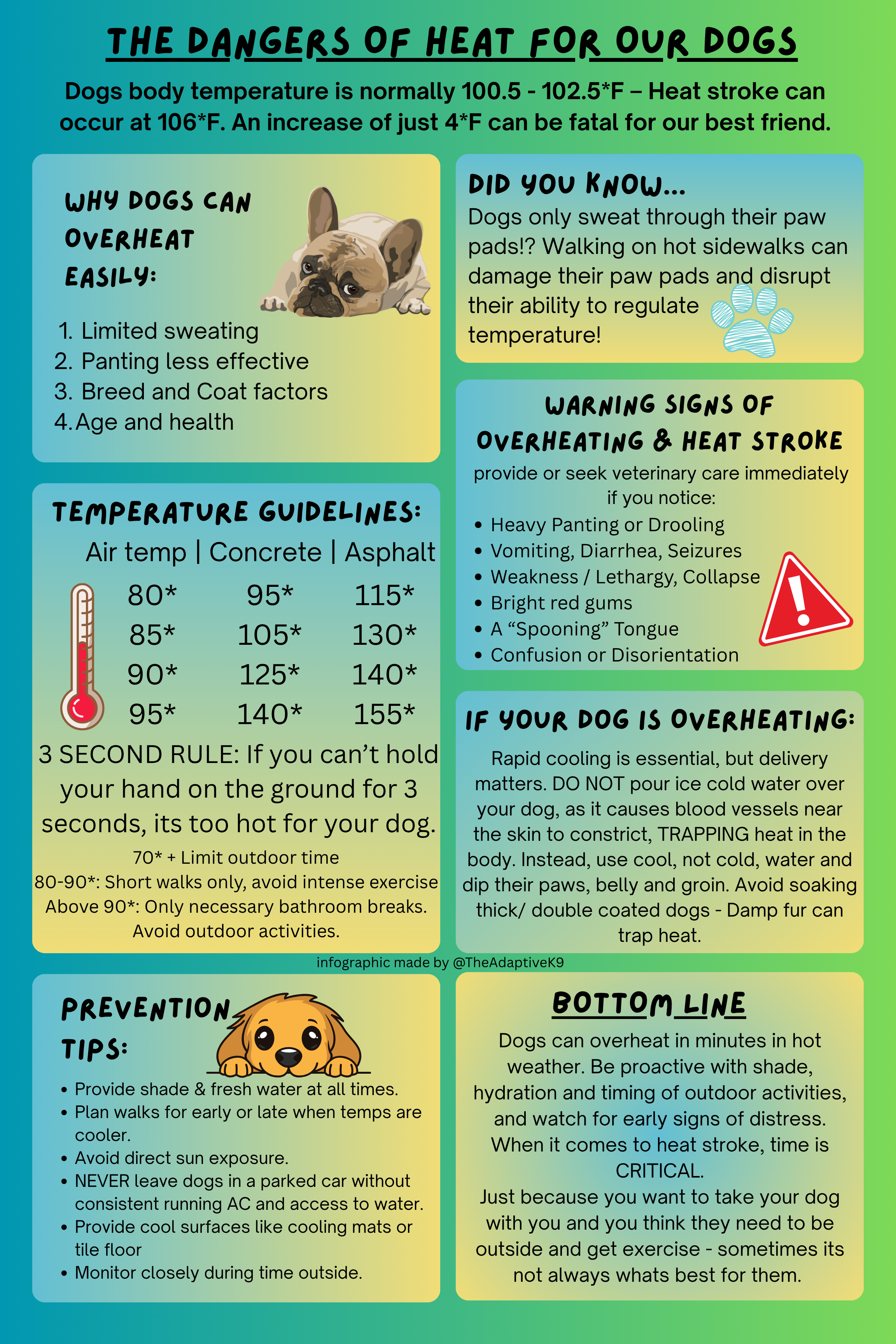 An infographic titled 'The Dangers of Heat for Our Dogs' explaining how dogs can overheat easily and the importance of monitoring their body temperature. It includes a section on temperature guidelines, warning signs of overheating and heat stroke, prevention tips with a cartoon dog, and advice on outdoor activities during hot weather. The background features a gradient of green and blue with colorful text boxes and icons.