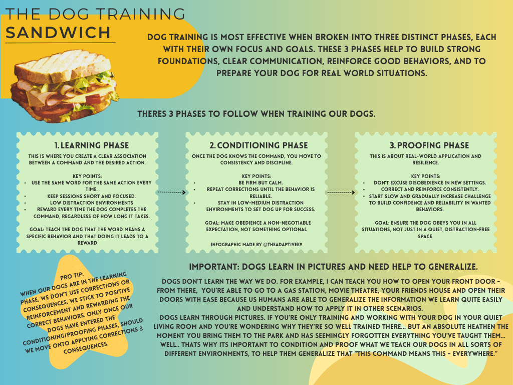 The Dog Training Sandwich