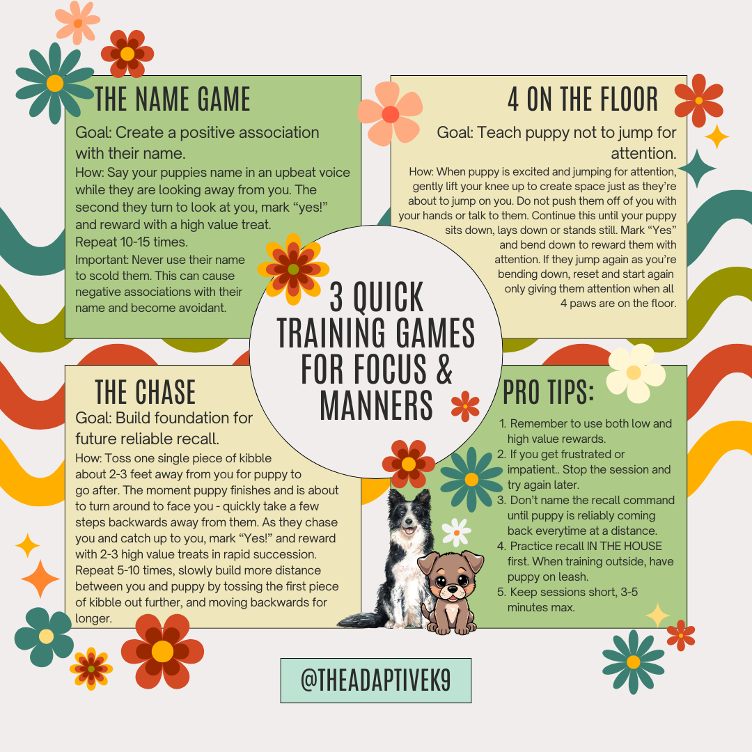 Colorful infographic offering three quick training games for focus and manners, including 'The Name Game,' '4 on the Floor,' and 'The Chase.' Contains text instructions, pro tips, and illustrations of two dogs and decorative flowers.