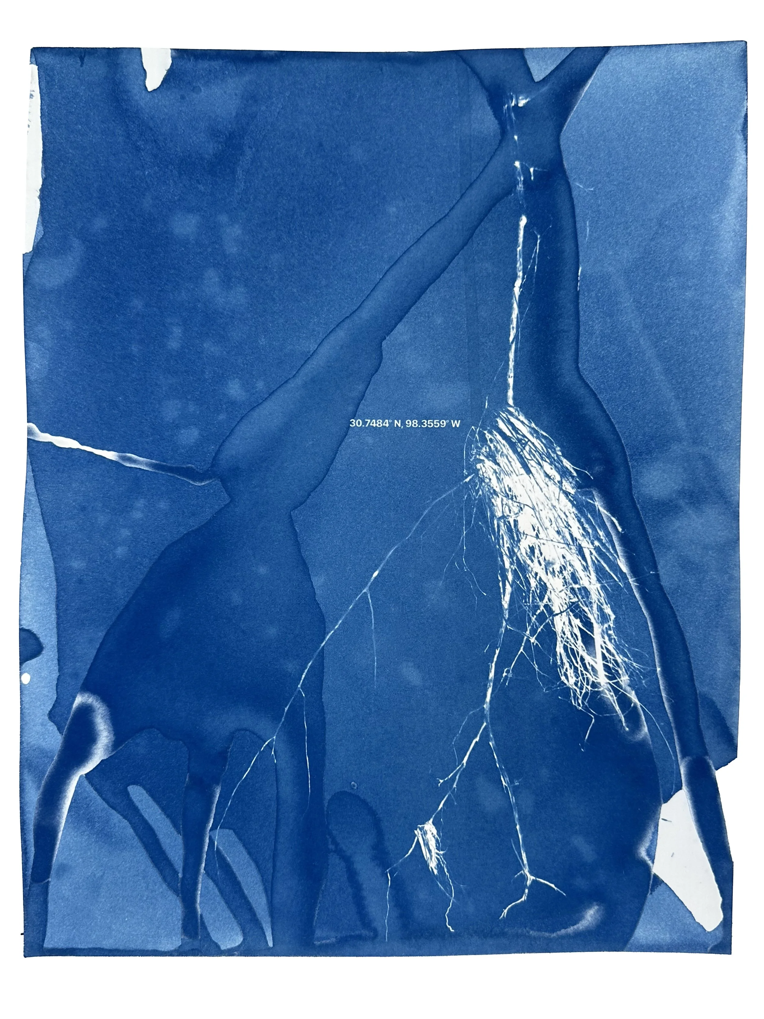 Artifact 7
