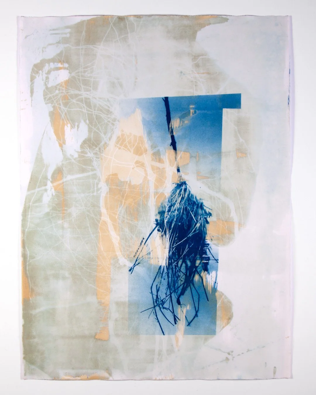 Duotone Cyanotype