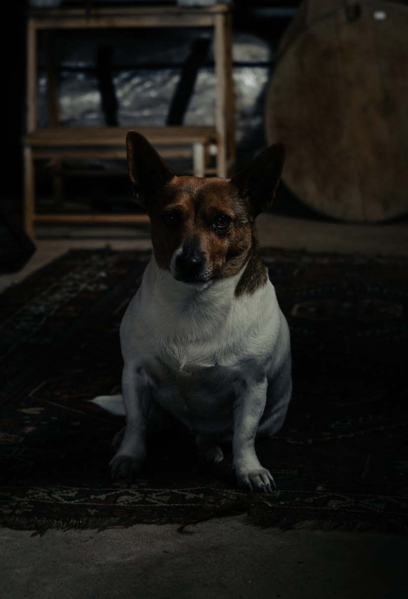 Screen Shot 2025-07-22 at 2.05.04 pm.png