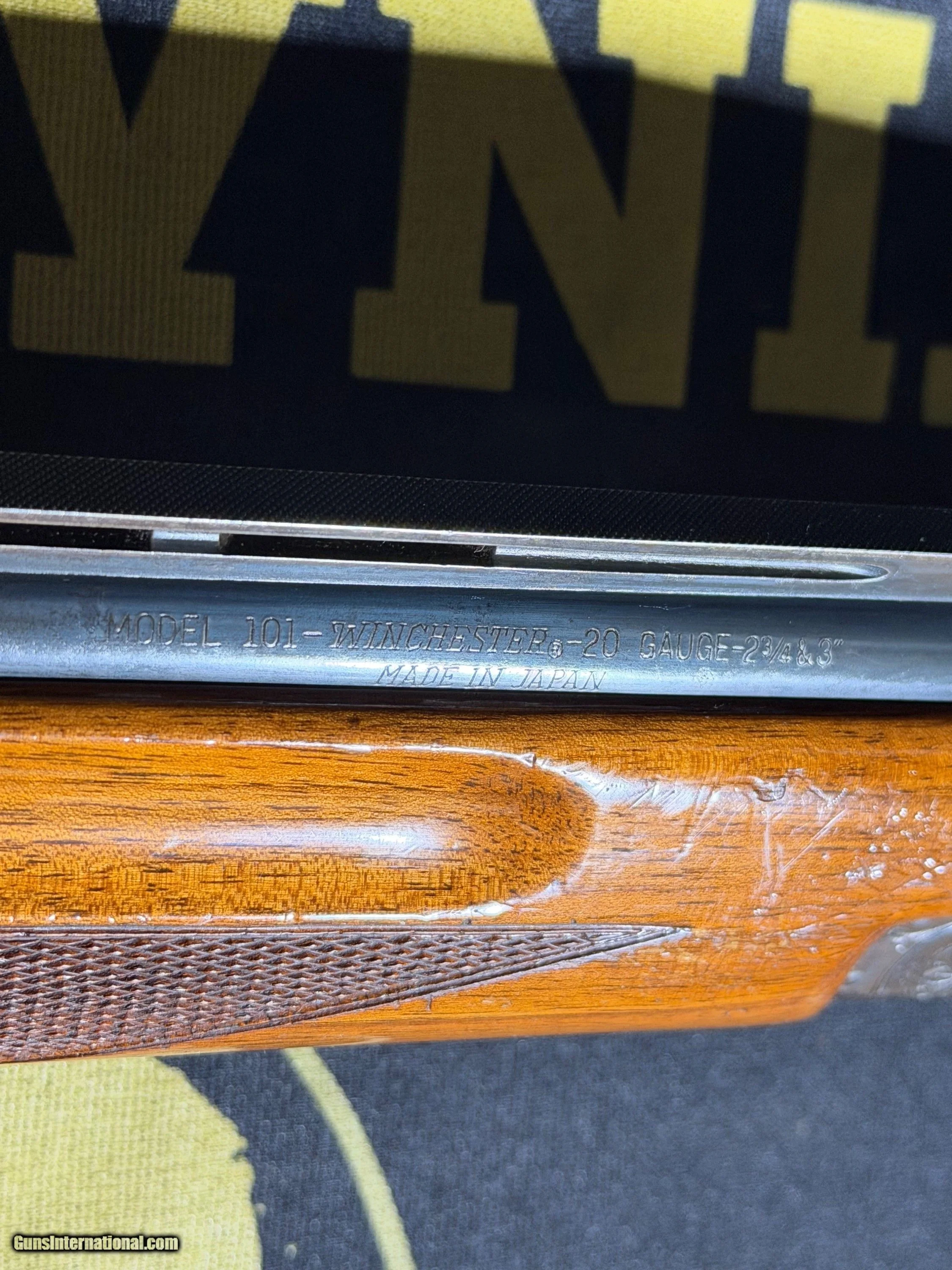 Winchester-101-20-gauge_103809966_107868_4CE97485E033522A.jpeg