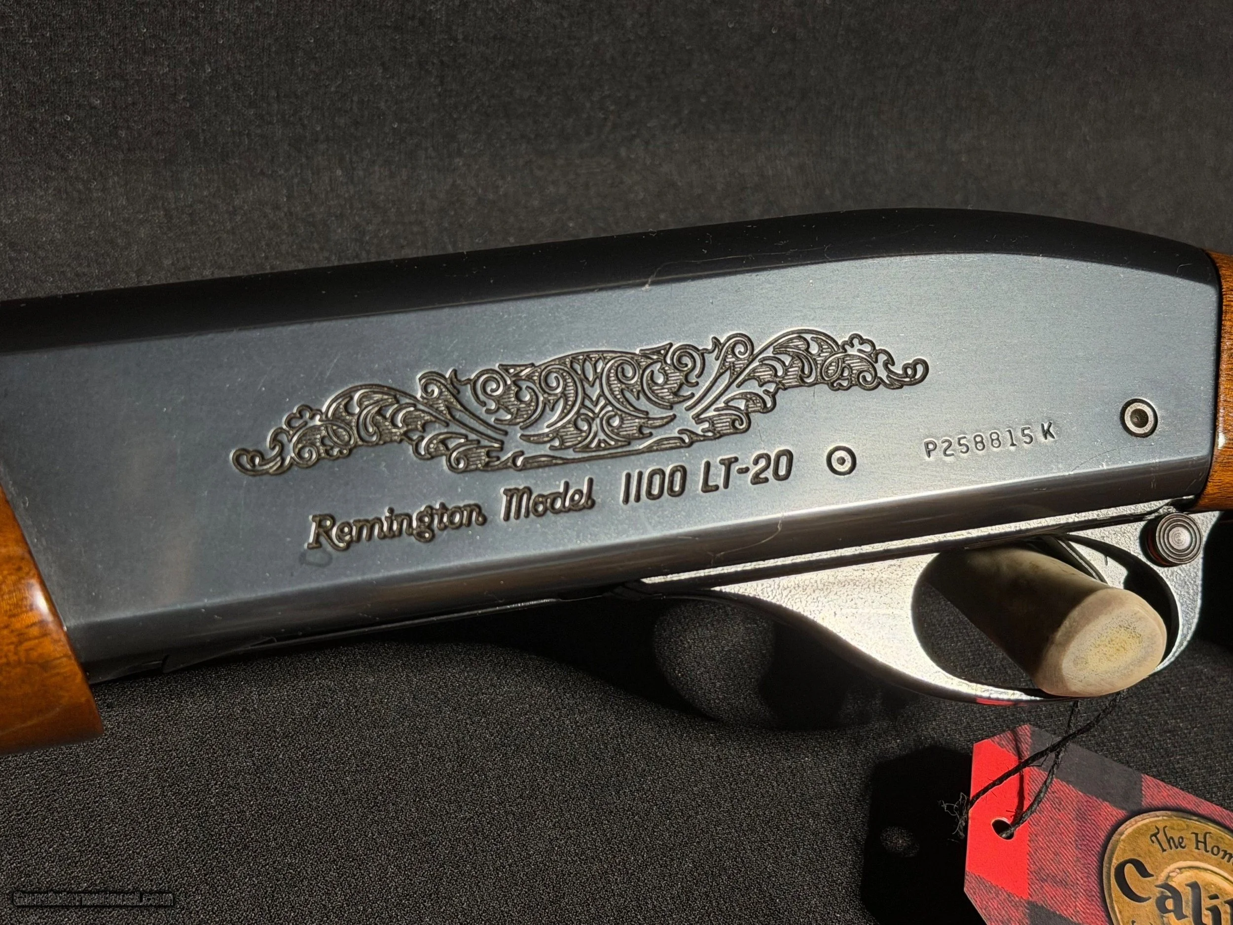 Remington-1100-LT-20-gauge_103848704_107868_76B5C03C1A52AD51.jpeg