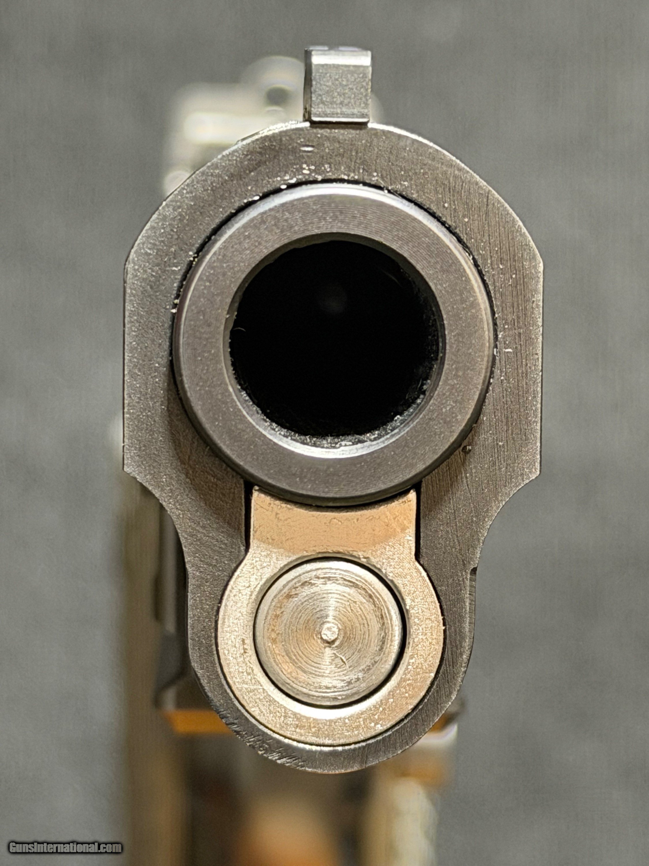 Caspian-Arms-460-Rowland_103689093_107868_7D28A5754E7B11C0.jpeg
