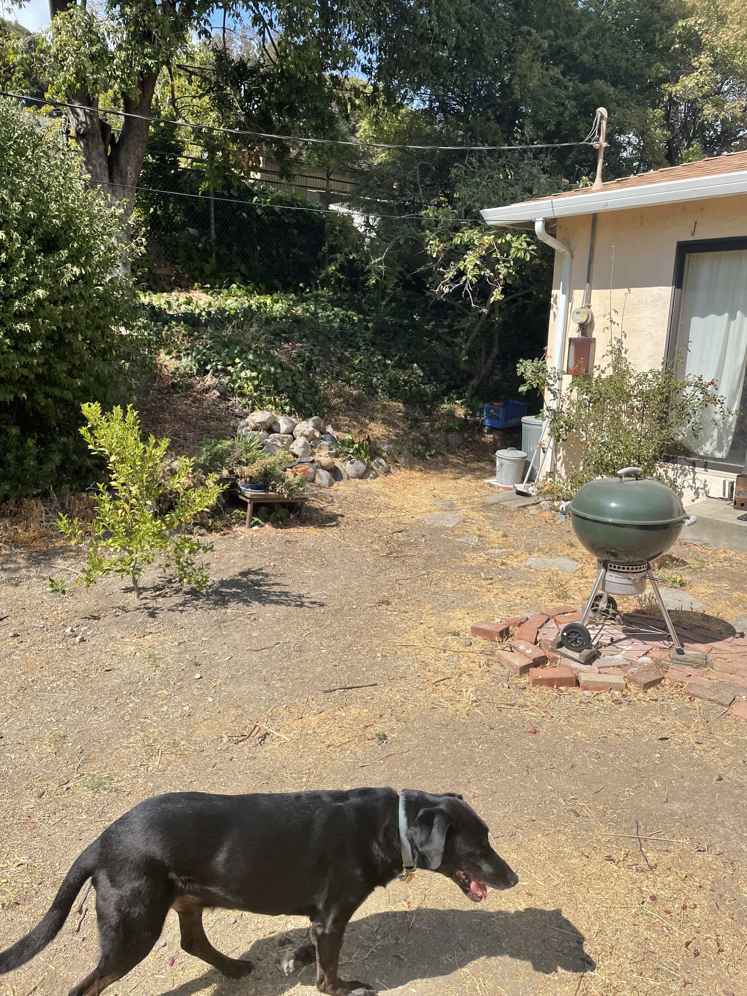 IMG_0783.jpeg