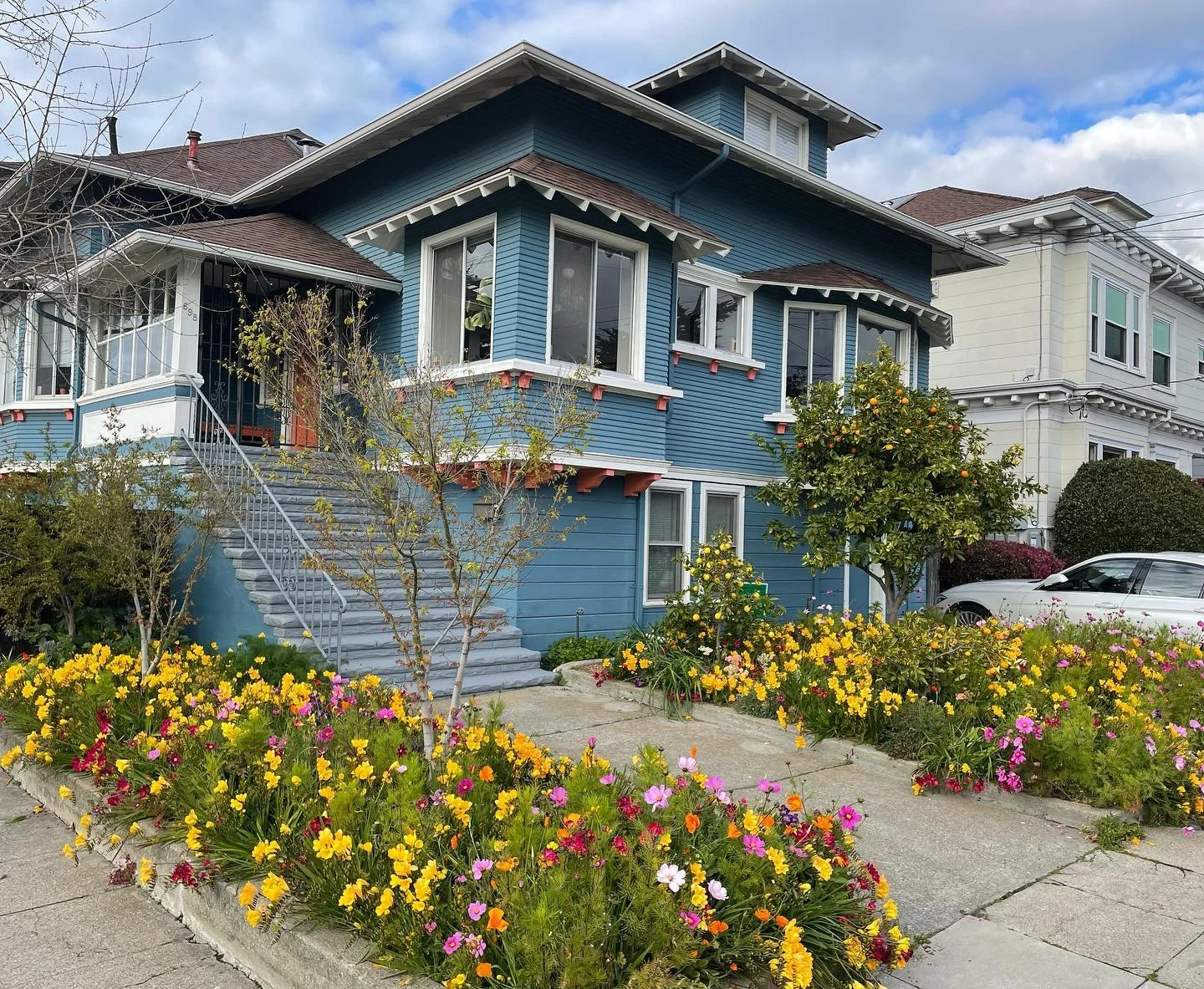 I just visited a garden that I did a design for and planted out last fall thanks to the referral of a good friend. This project is interesting because what you see in the photos is all crocus and cosmos that were lovingly tended for years. The challe