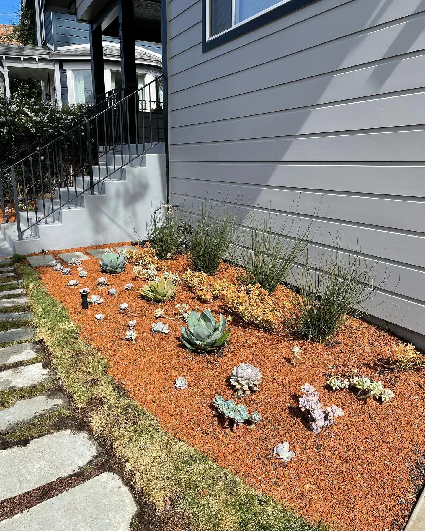 Just finished up a fun little install last week.  Rather than a full fledged design I just did a couple quick renderings for the client.  Check the last photo for the concept rendering that started it all.

#lowwatergarden #droughttolerant #landscape