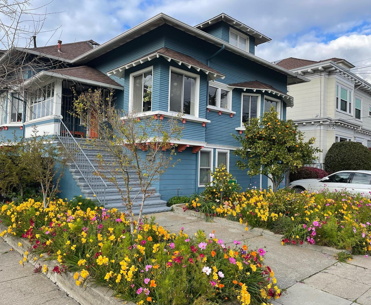 I just visited a garden that I did a design for and planted out last fall thanks to the referral of a good friend. This project is interesting because what you see in the photos is all crocus and cosmos that were lovingly tended for years. The challe