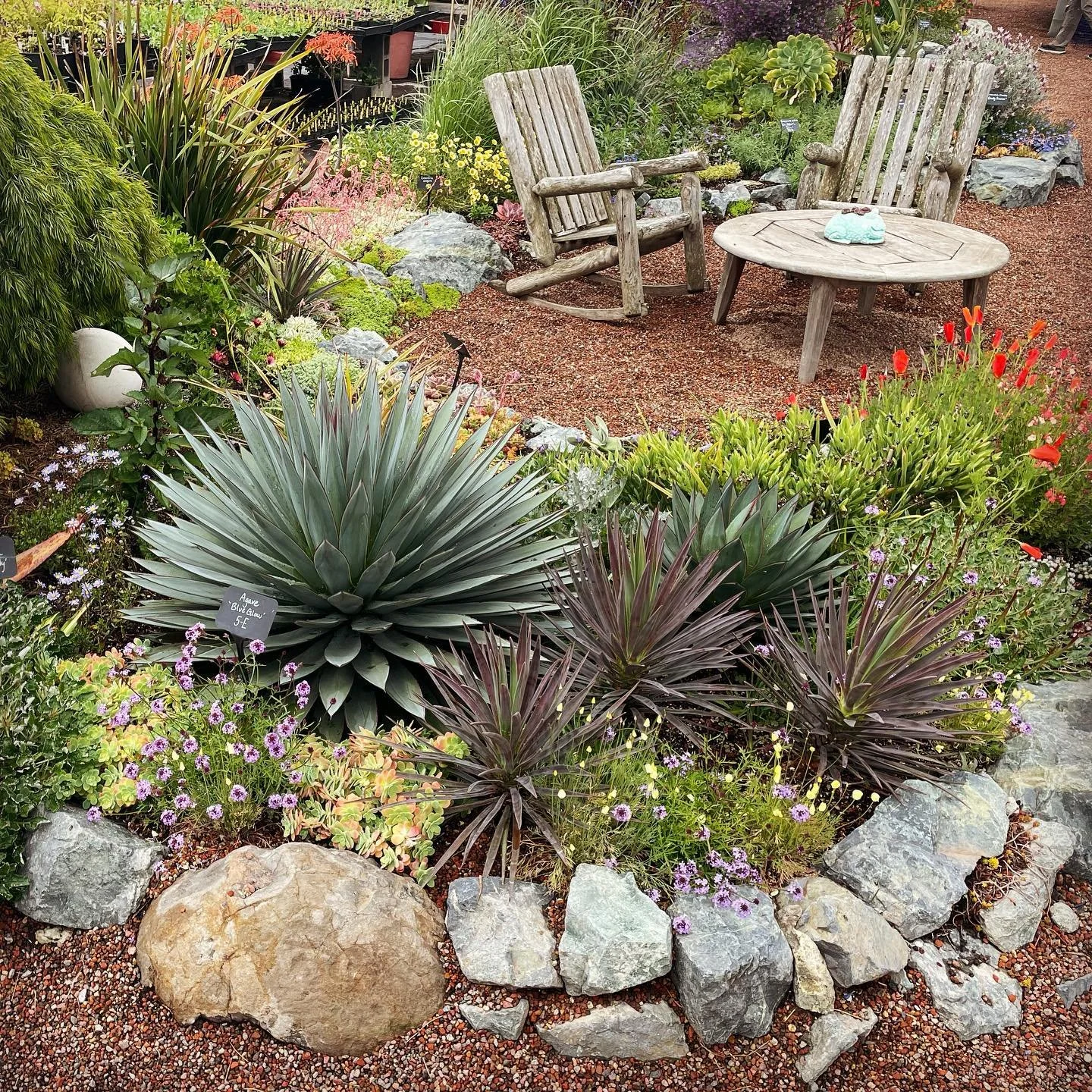 I&rsquo;m always inspired by the displays at @anniesannuals and love how well their plants preform in my gardens.