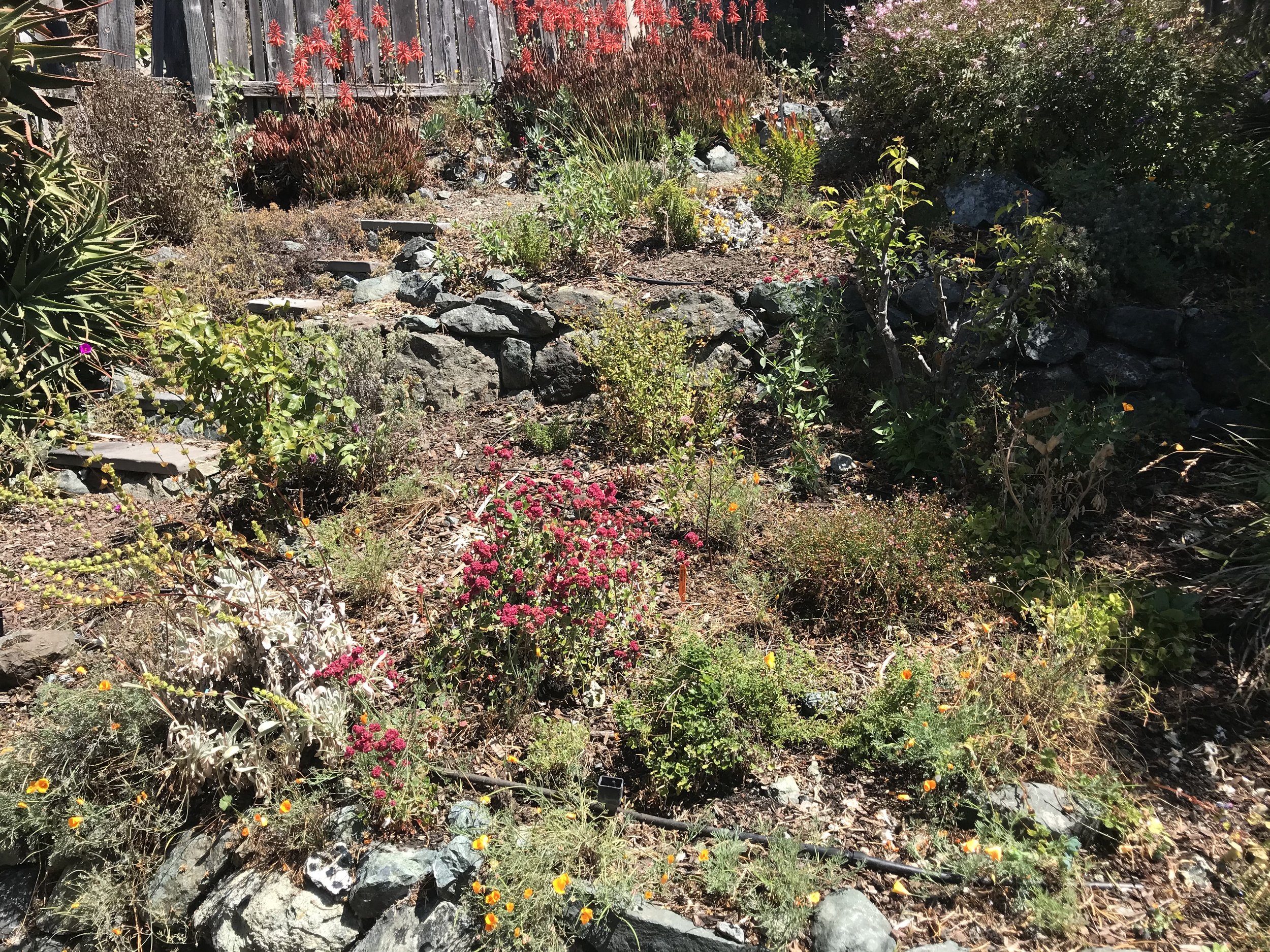 IMG_0850.jpeg