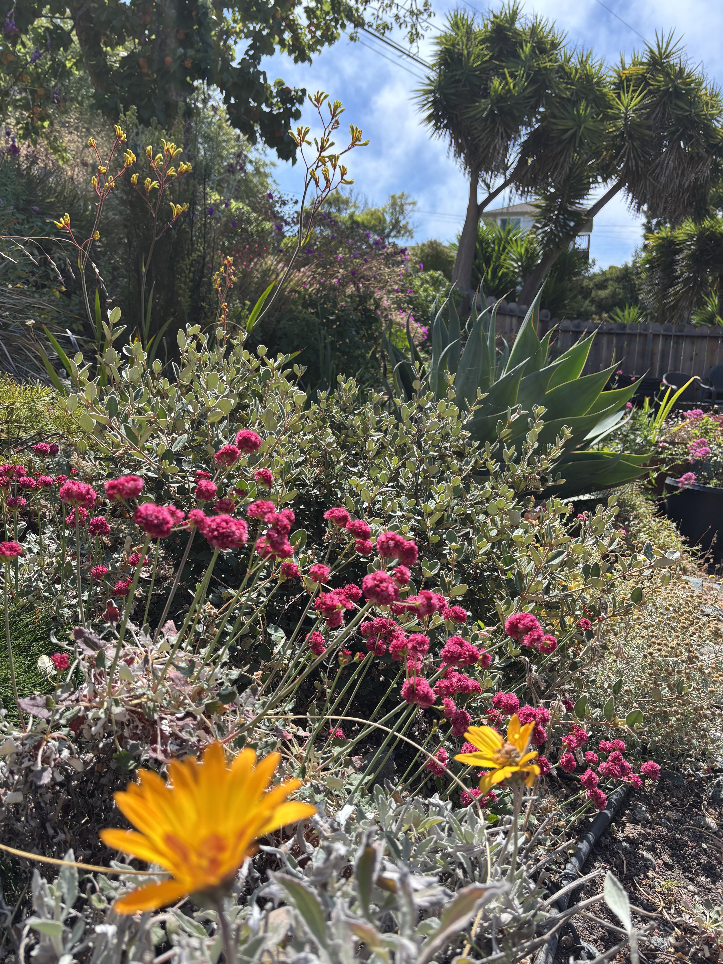 IMG_0963 2.jpeg