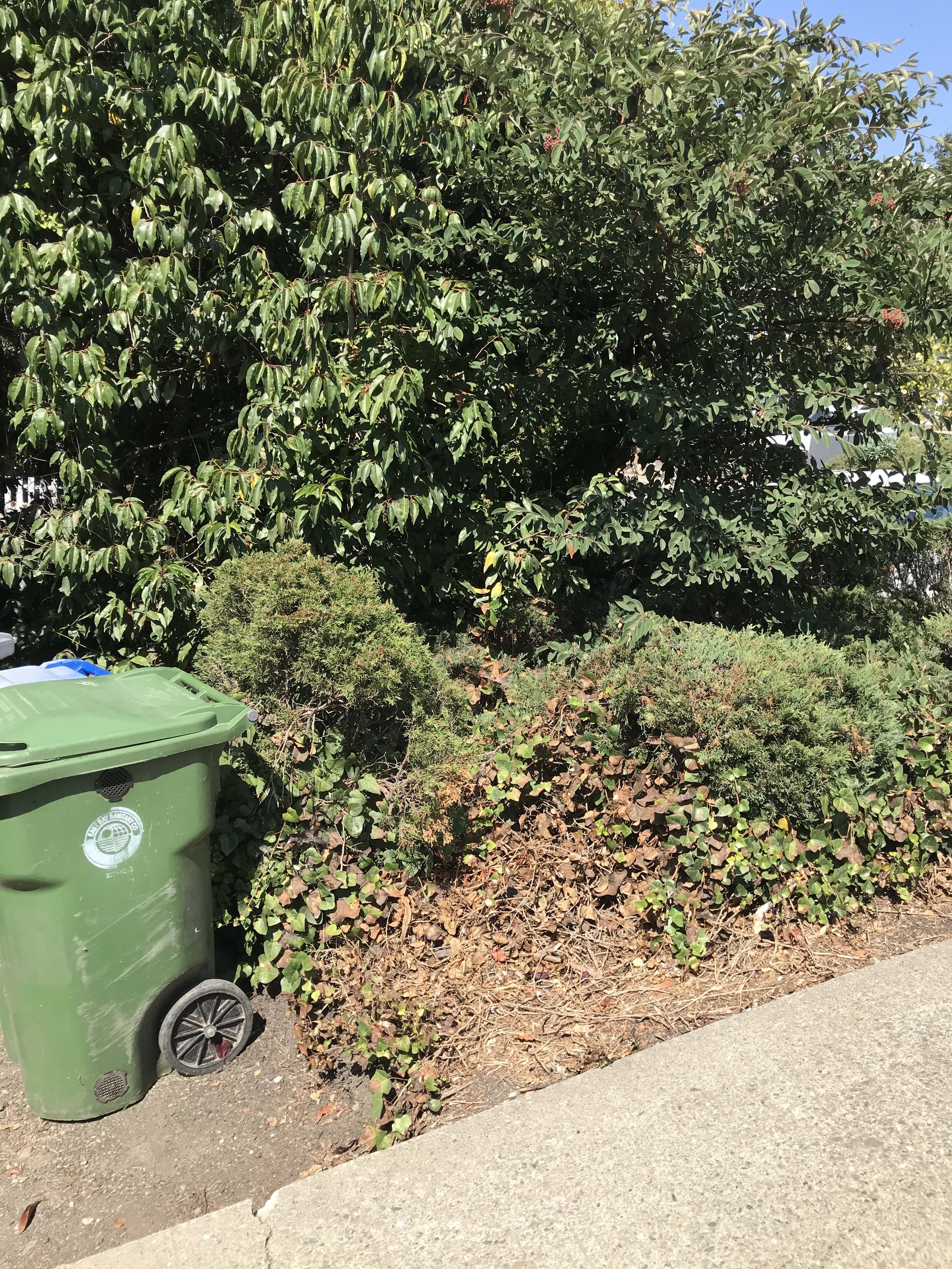 IMG_1359.jpeg