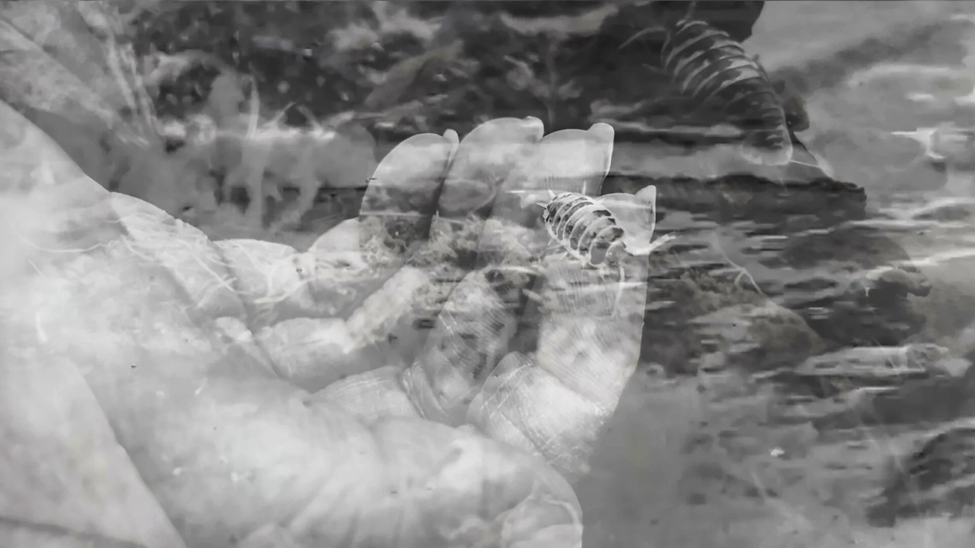Black and white photograph with a hand superimposed over a beach landscape