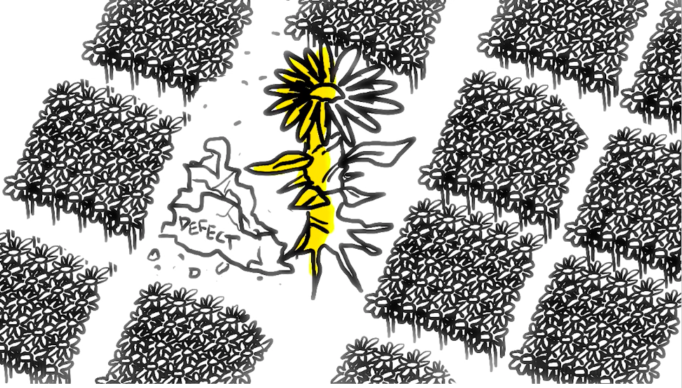 Illustration of a giant sunflower
