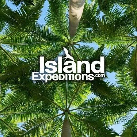 Looking up at tall palm trees from the ground with a clear blue sky in the background. The words 'Island Expeditions.com' are overlaid in the center.