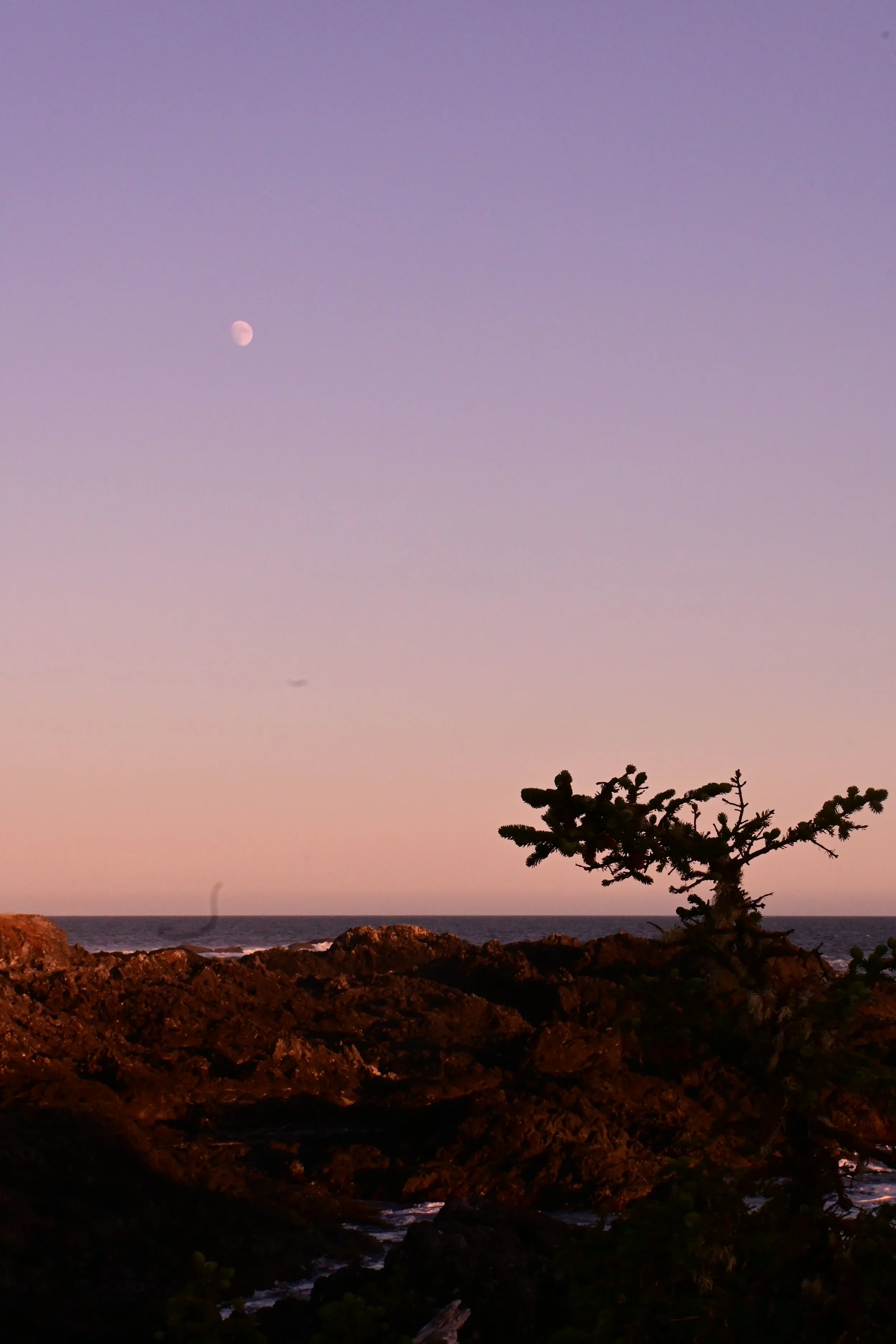 DSC_8254.JPG