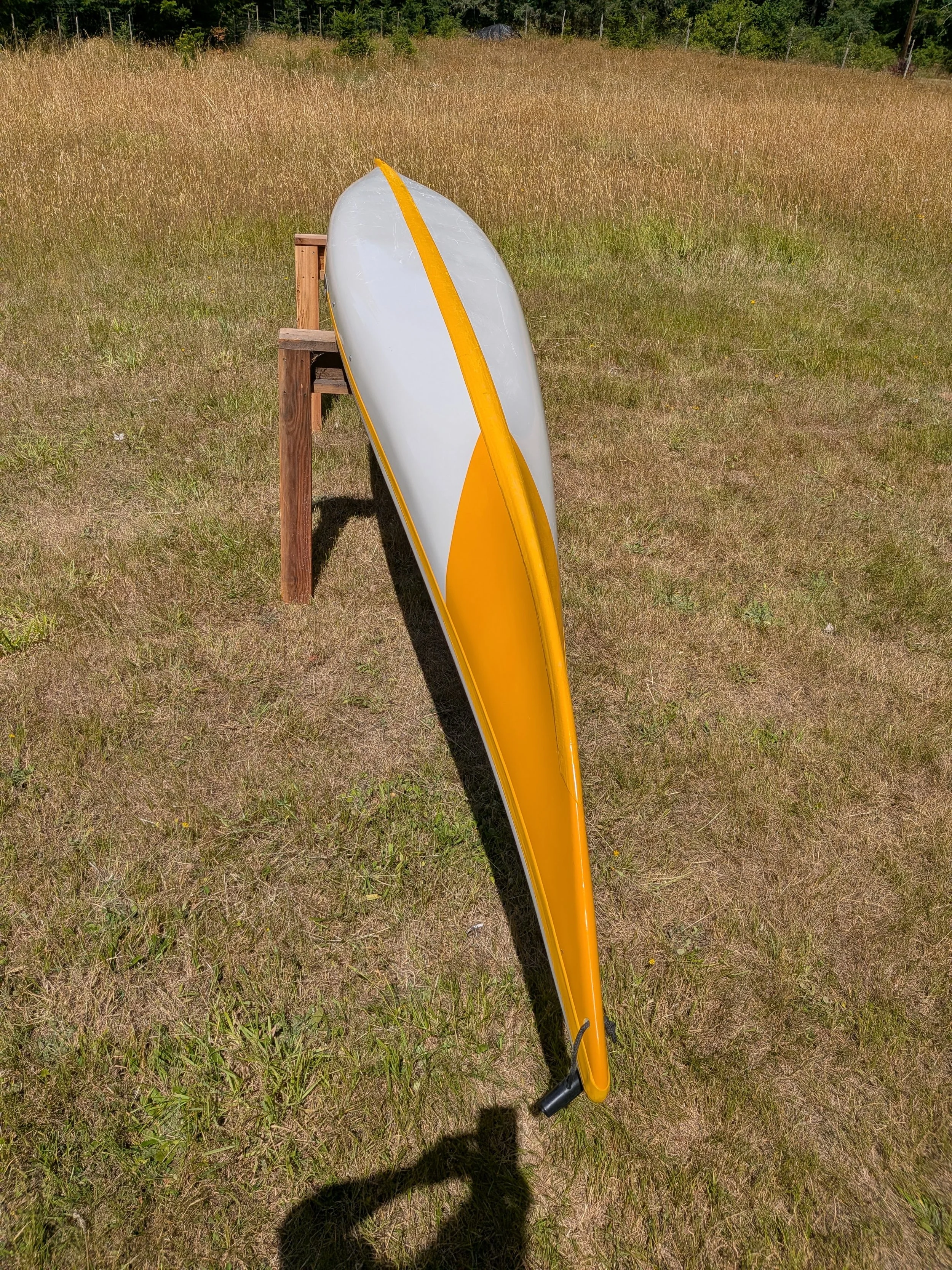 544.jpg