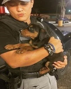 Person holding a small black and tan puppy outdoors at night.
