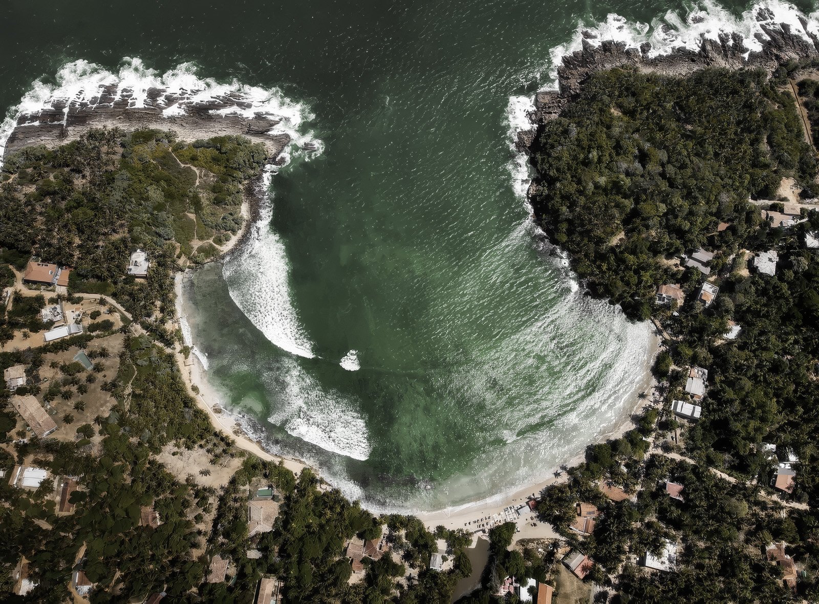 SOM OSU: Our Origin Story