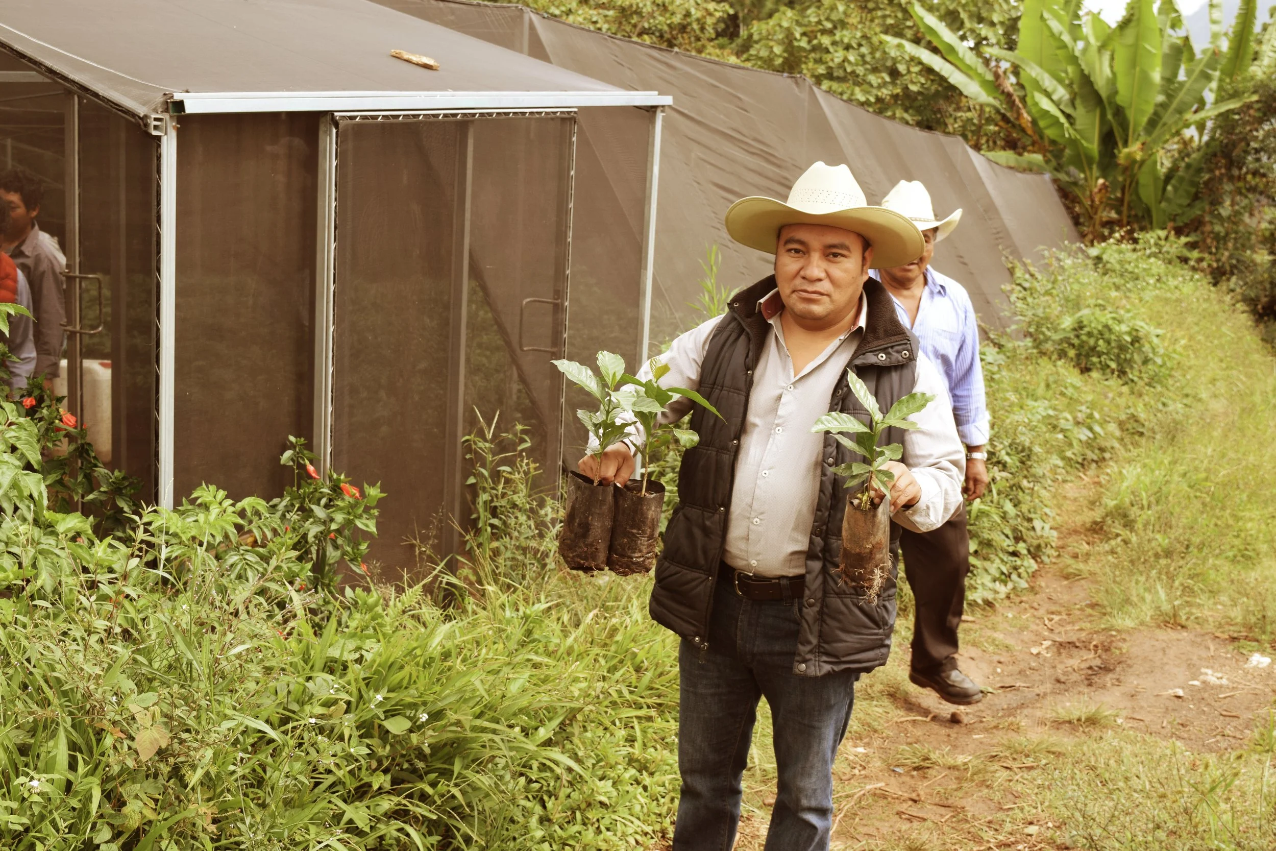 Man wearing a cowboy hat and black vest holds new planted plants in a nursery surrounded by green plants and trees.