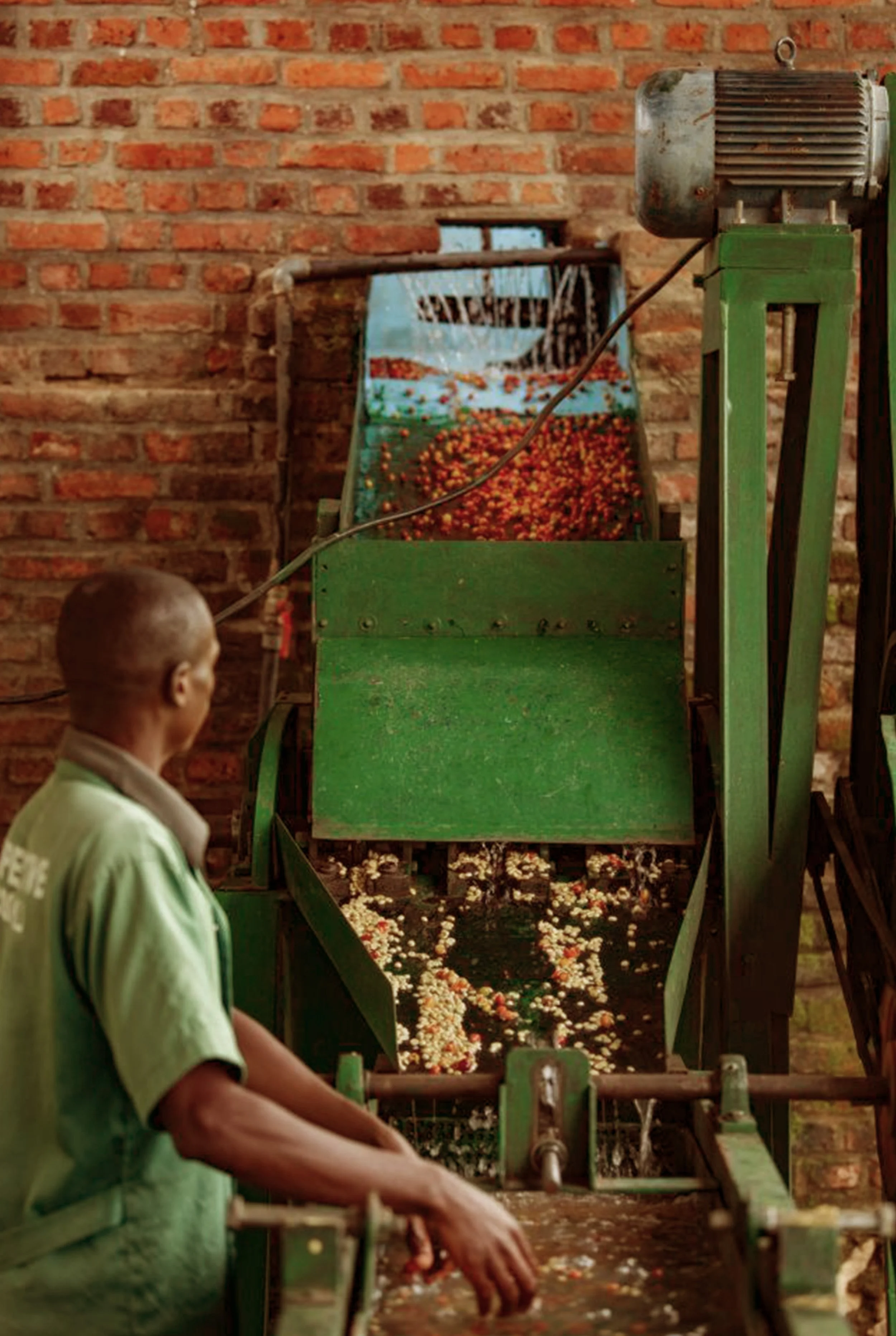 A worker operating a flower processing machine with a brick wall background.