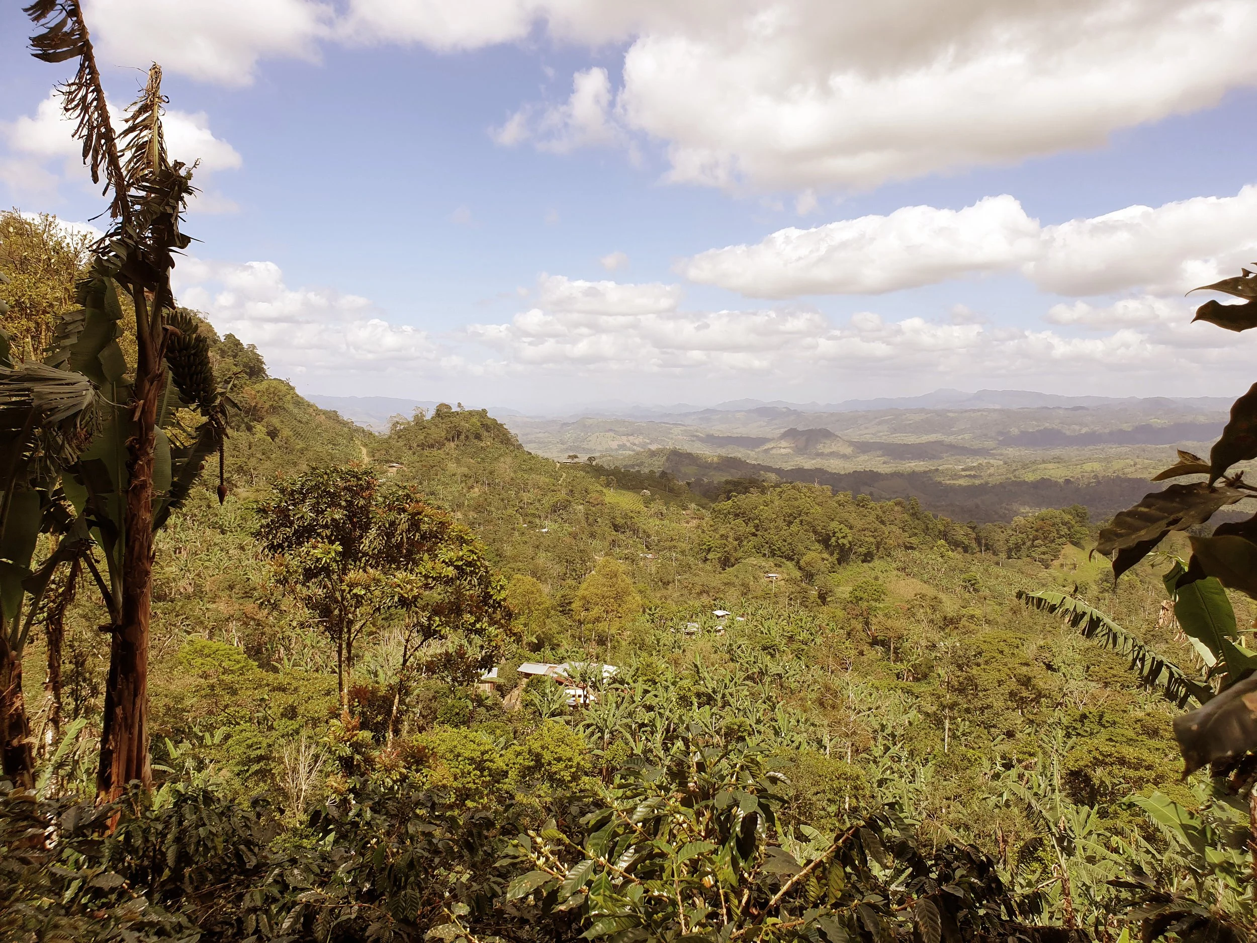 Scenic view of a lush, green mountainous landscape under a partly cloudy sky, with trees and small buildings visible in the foreground.