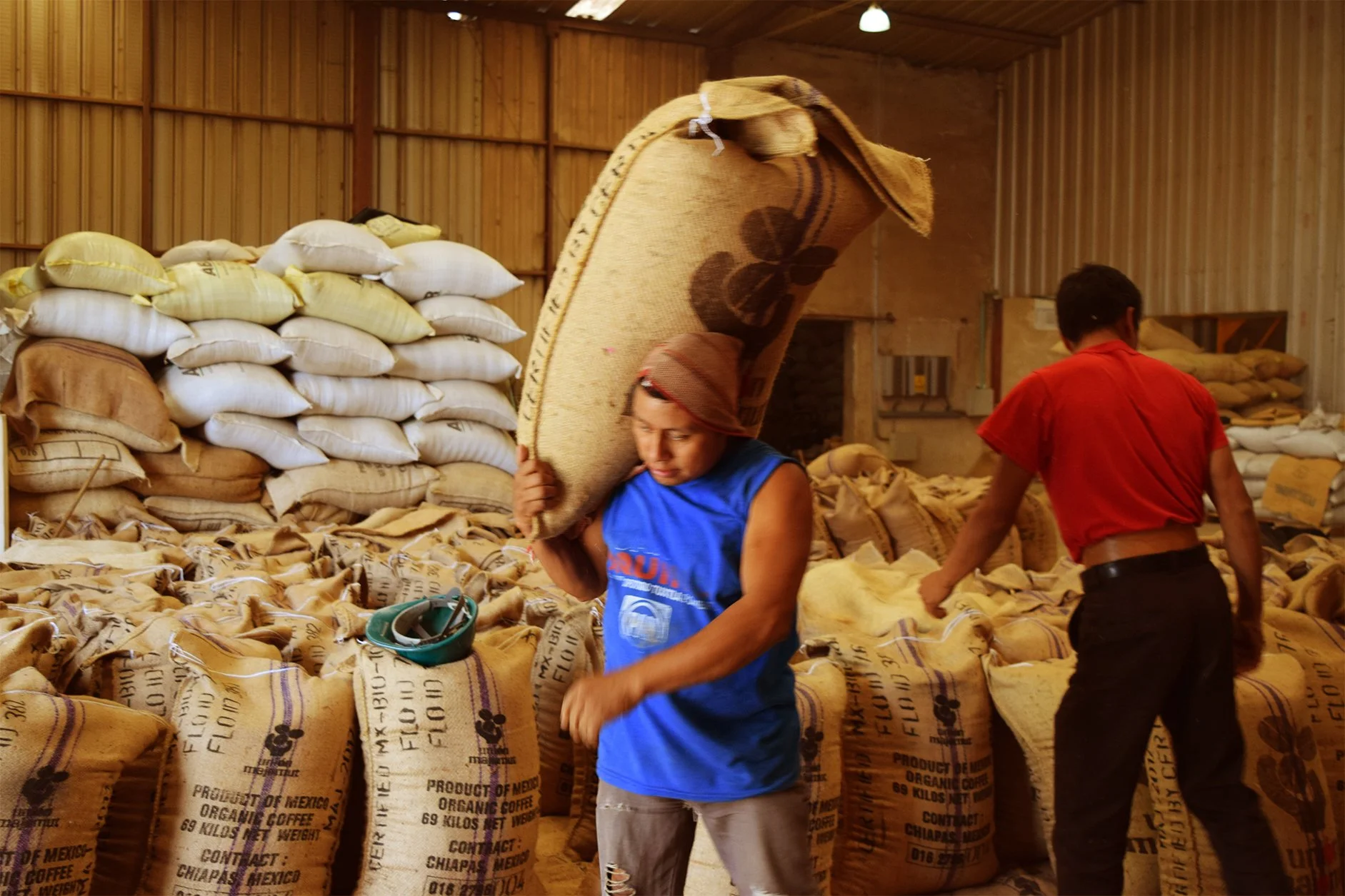 Two workers in a warehouse filled with large burlap sacks of organic coffee beans, with one woman carrying a sack on her shoulder and a man sorting through piles of bags.