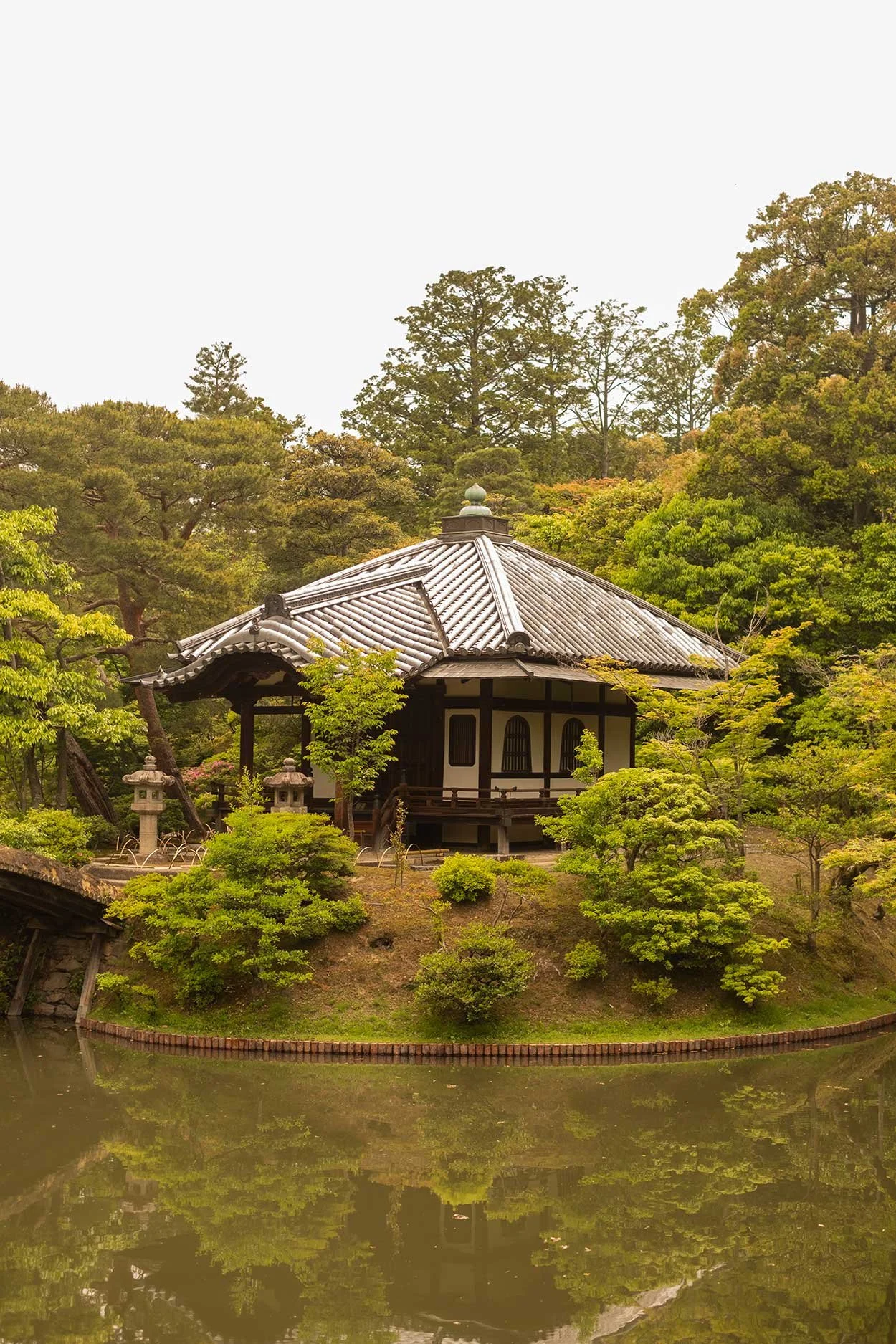 katsura21.jpg