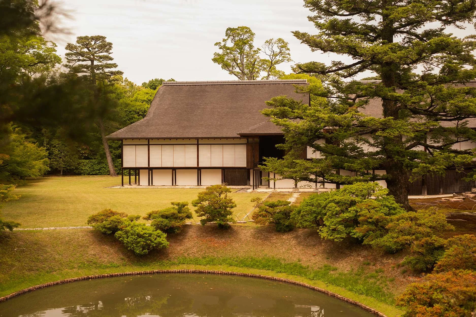 katsura16.jpg